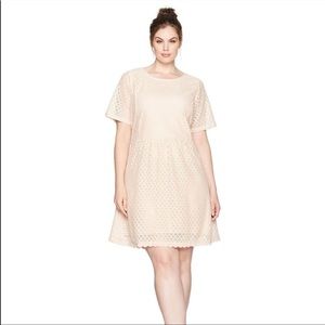 NWT Junarose light pink dress